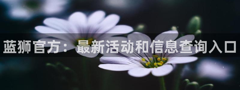 壹号娱乐体育平台注册：蓝狮官方：最新活动和信息查询入口