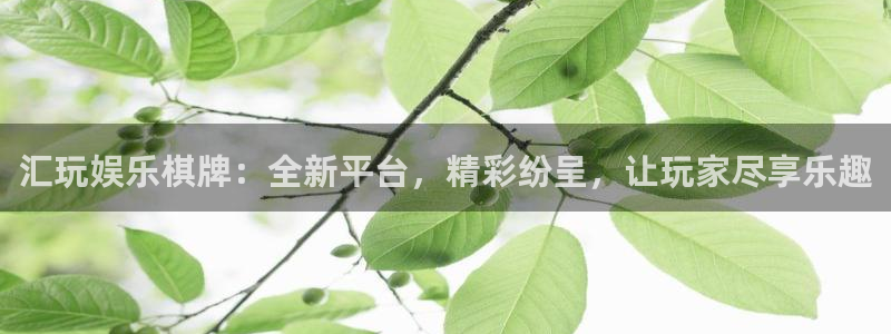 壹号娱乐平台注册：汇玩娱乐棋牌：全新平台，精彩纷呈，让玩家尽享乐趣
