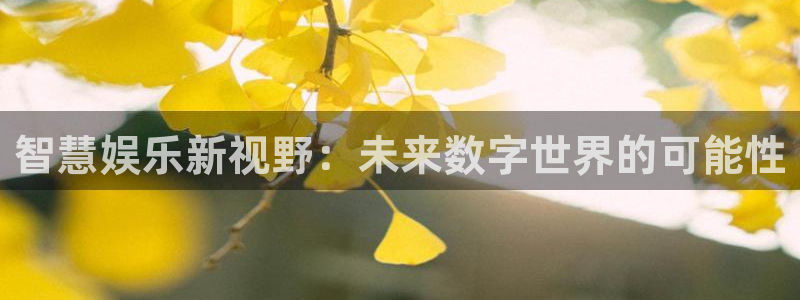 上海壹号娱乐汽车电子有限公司：智慧娱乐新视野：未来数字世界的可能性