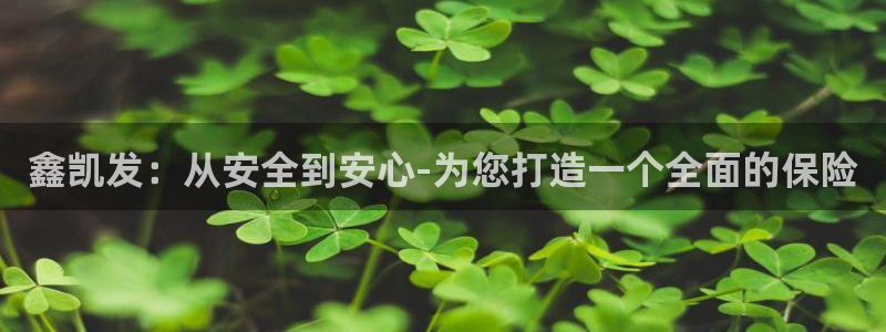 壹号娱乐体育f开户：鑫凯发：从安全到安心-为您打造一个全面的保险