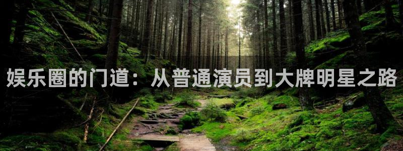 壹号娱乐登录注册：娱乐圈的门道：从普通演员到大牌明星之路