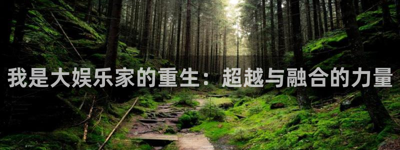 壹号娱乐4：我是大娱乐家的重生：超越与融合的力量