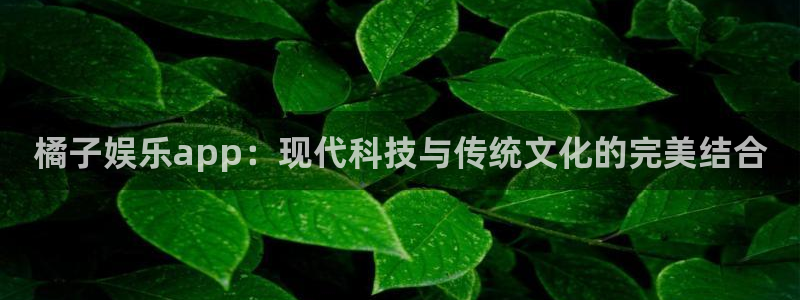 壹号娱乐k：橘子娱乐app：现代科技与传统文化的完美结合