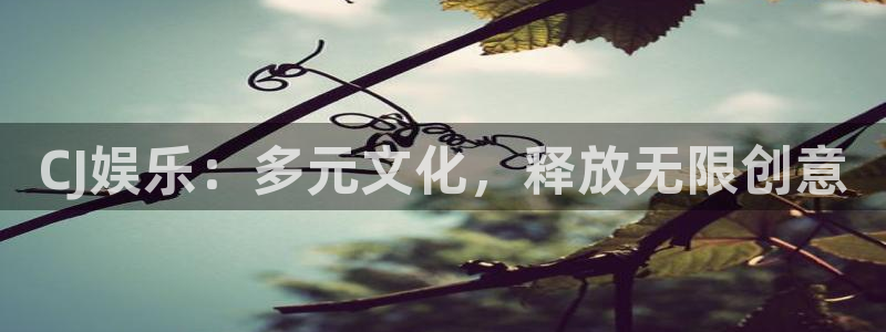 壹号娱乐平台开户链接
