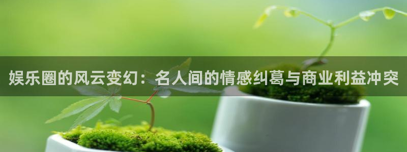 壹号娱乐登录注册：娱乐圈的风云变幻：名人间的情感纠葛与商业利益冲突