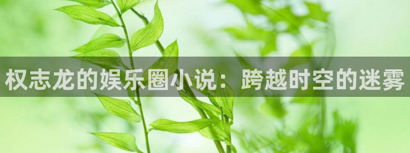 壹号娱乐代理：权志龙的娱乐圈小说：跨越时空的迷雾