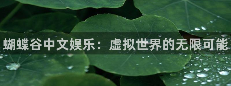 壹号娱乐体育用品：蝴蝶谷中文娱乐：虚拟世界的无限可能