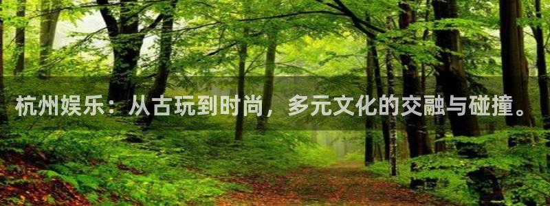 壹号娱乐体育在线注册：杭州娱乐：从古玩到时尚，多元文化的交融与碰撞。