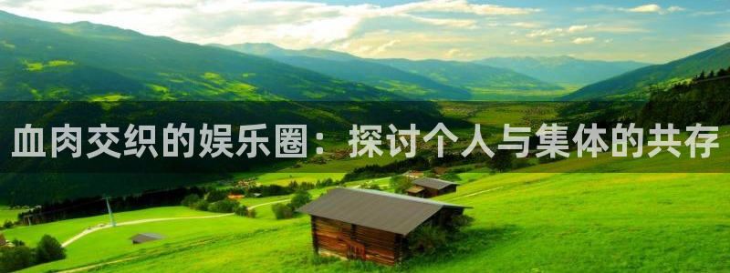 成都壹号娱乐电子有限公司：血肉交织的娱乐圈：探讨个人与集体的共存