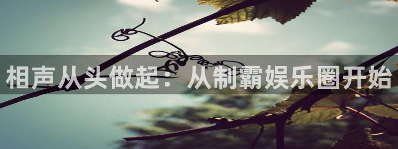 壹号娱乐体育注册平台：相声从头做起：从制霸娱乐圈开始