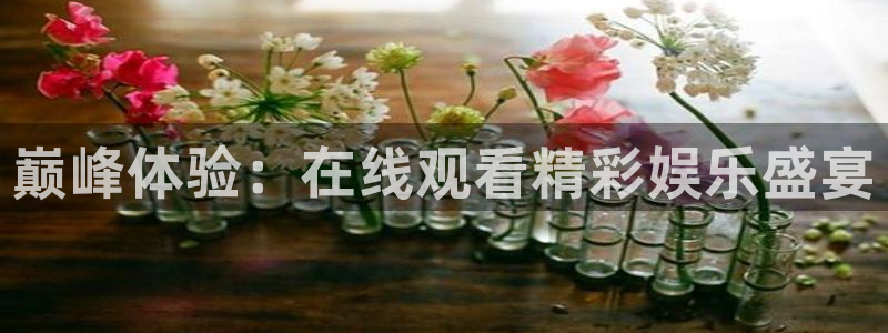 壹号娱乐体育官网注册：巅峰体验：在线观看精彩娱乐盛宴