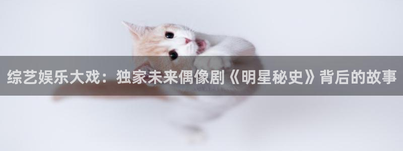 壹号娱乐体育2官网入口：综艺娱乐大戏：独家未来偶像剧《明星秘史》背后的故事