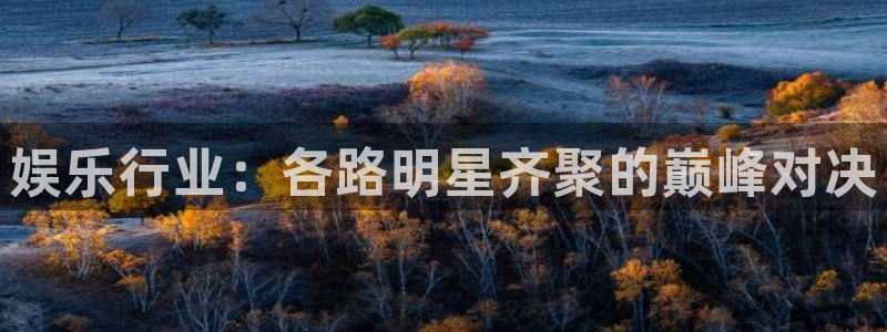 壹号娱乐代理：娱乐行业：各路明星齐聚的巅峰对决
