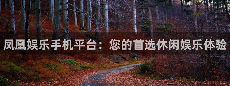 壹号娱乐包怎么样